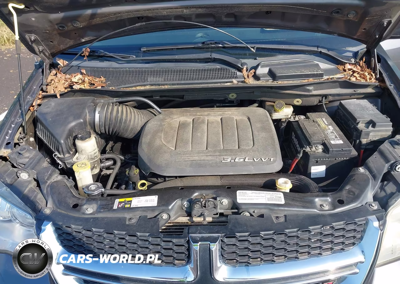 2015 Dodge Grand Caravan Sxt VIN:2C4RDGCG1FR736649 - 10