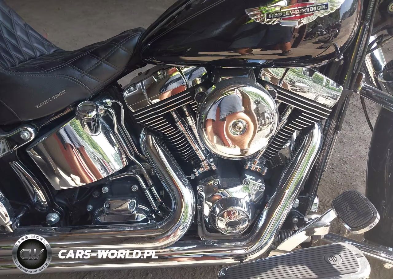 2011 Harley-Davidson Flstn VIN:1HD1JD518BB045994 - 8