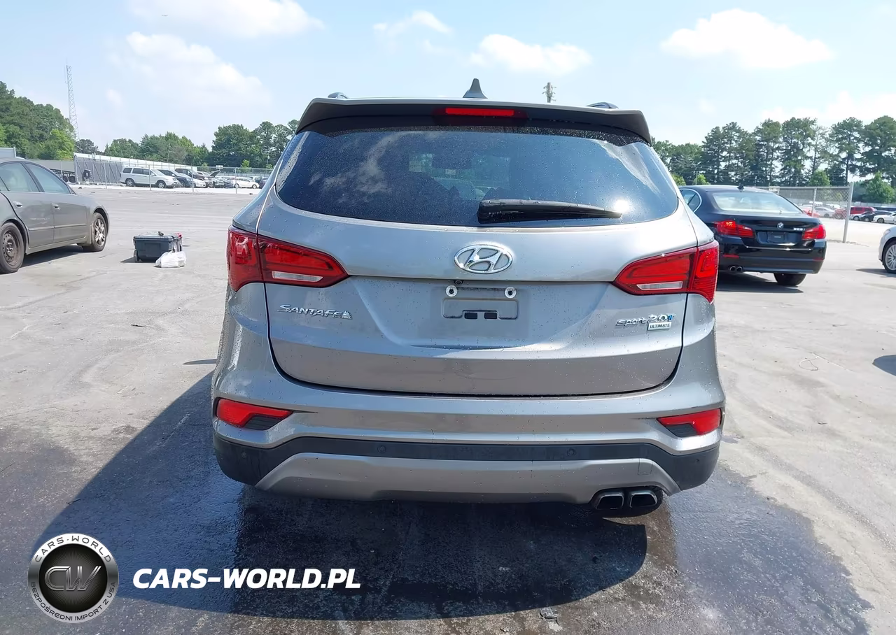2017 Hyundai Santa Fe Sport 2.0T Ultimate VIN:5XYZW4LA0HG406626 - 16