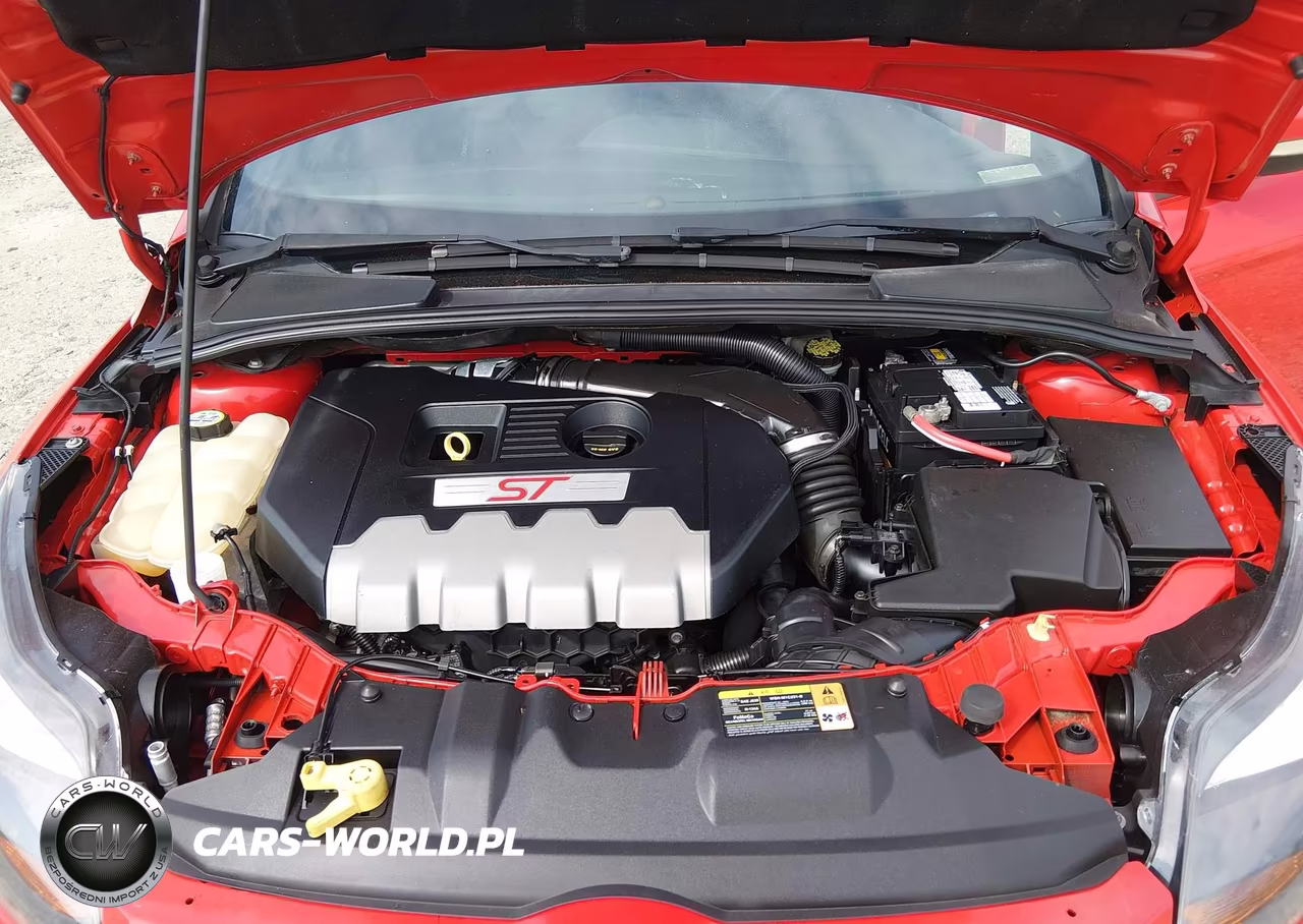 2013 Ford Focus St VIN:1FADP3L99DL216674 - 10