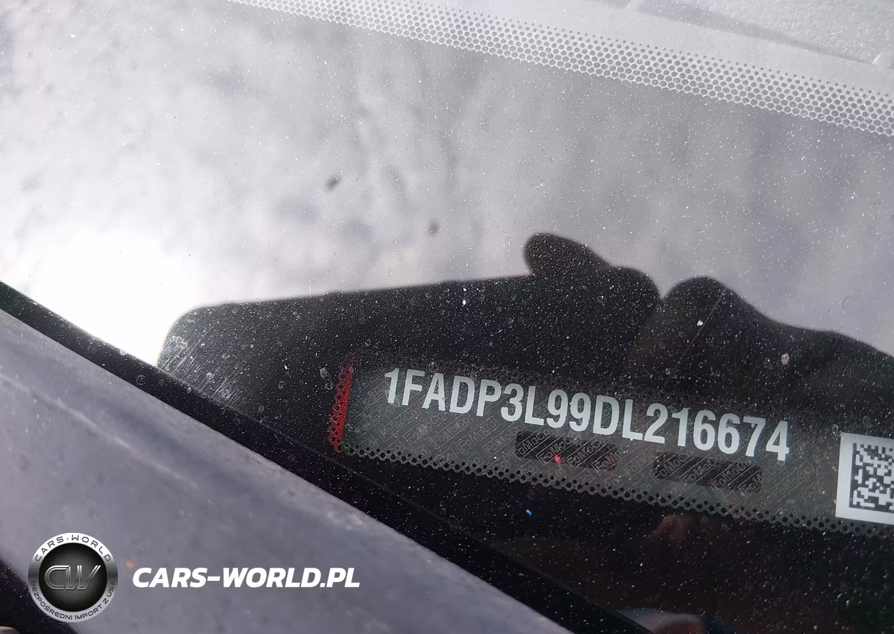 2013 Ford Focus St VIN:1FADP3L99DL216674 - 17