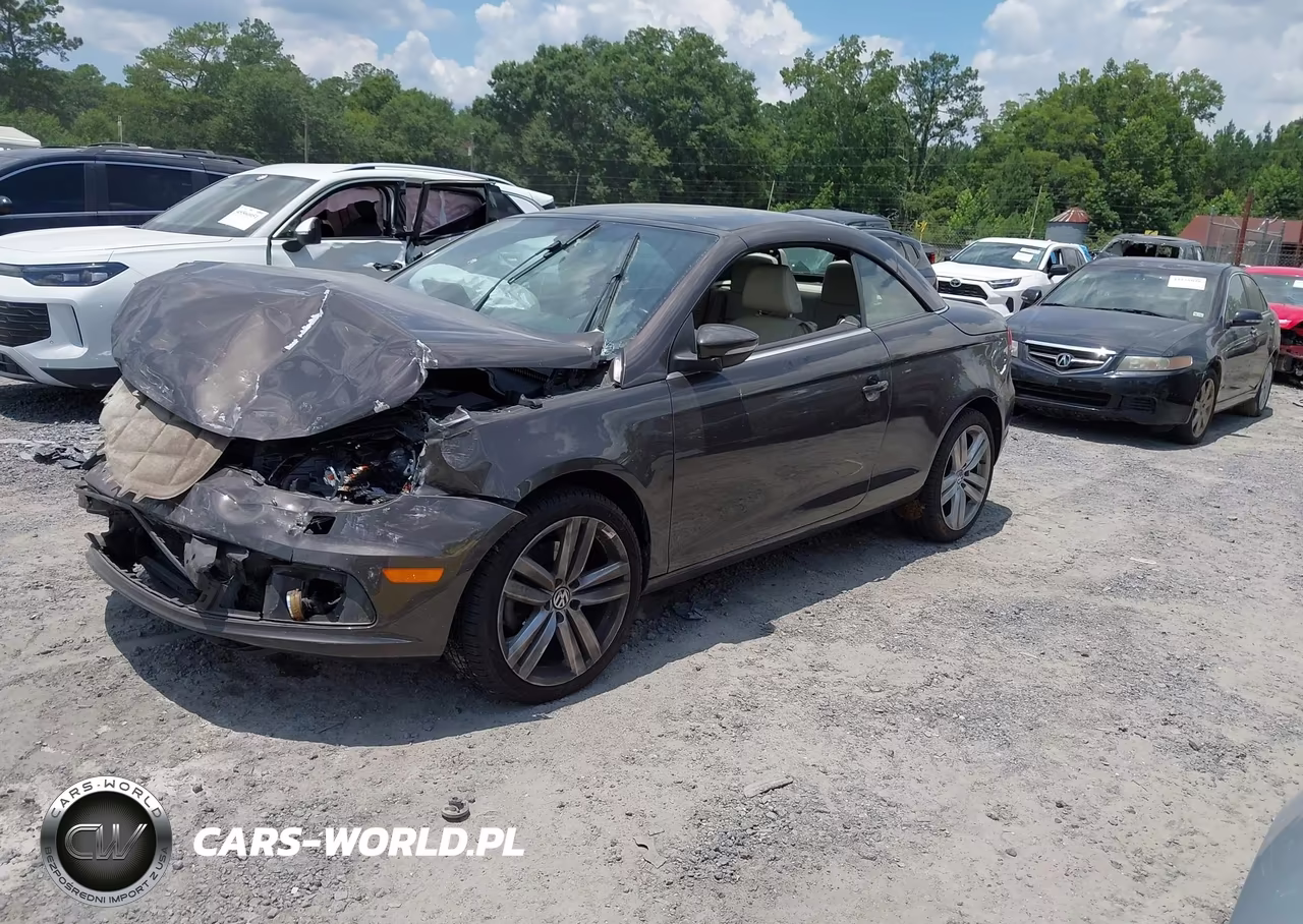 2014 Volkswagen Eos Executive VIN:WVWFW8AH2EV002032 - 2