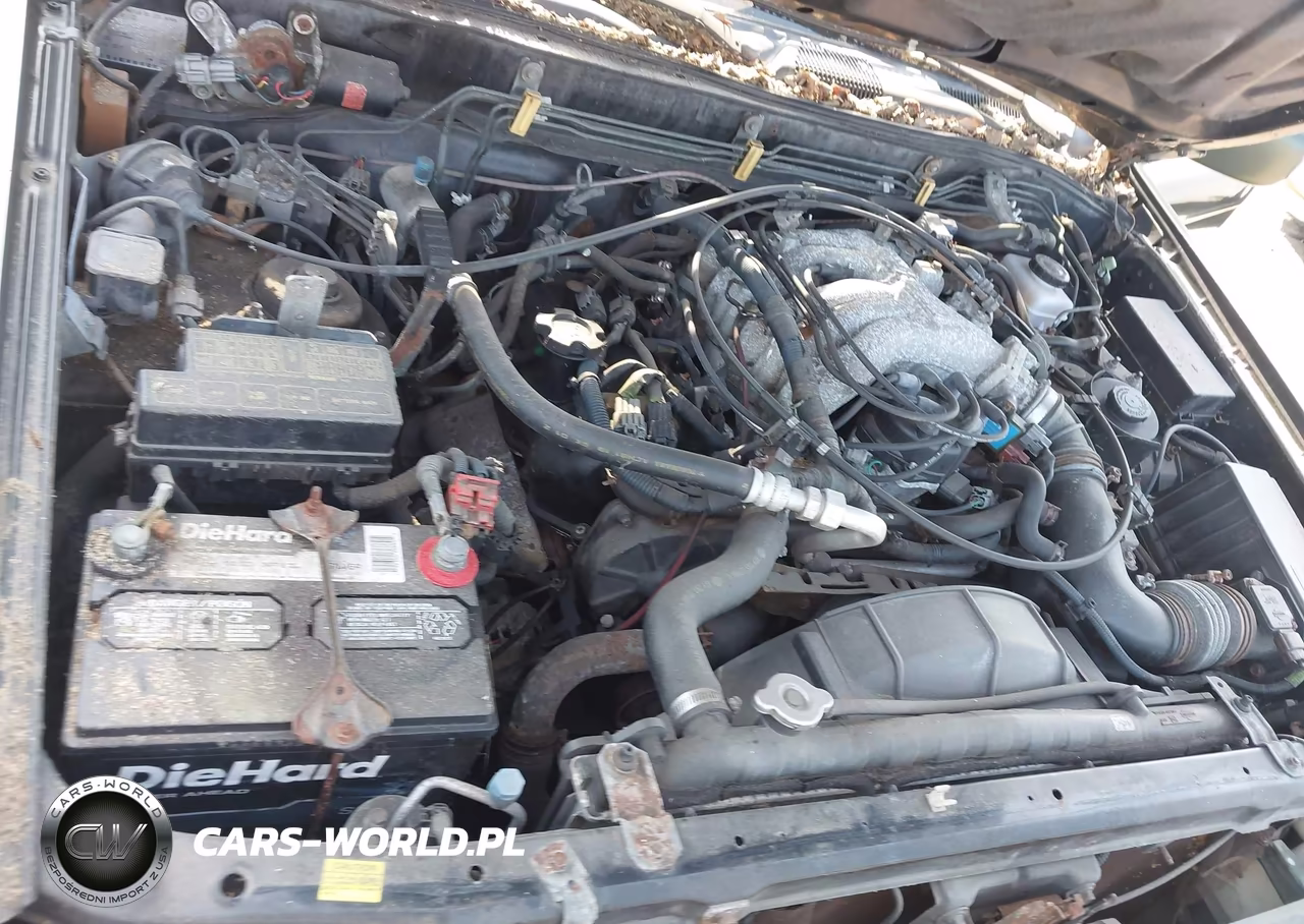 1998 Nissan Pathfinder Le-Se-Xe VIN:JN8AR05Y6WW253469 - 10