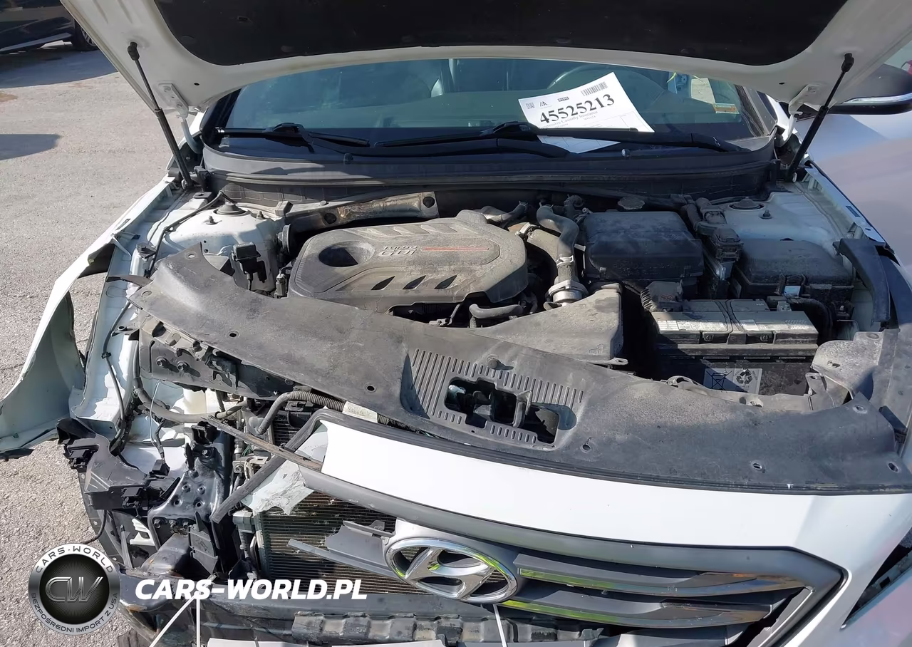 2017 Hyundai Sonata Sport 2.0T VIN:5NPE34AB3HH505517 - 10