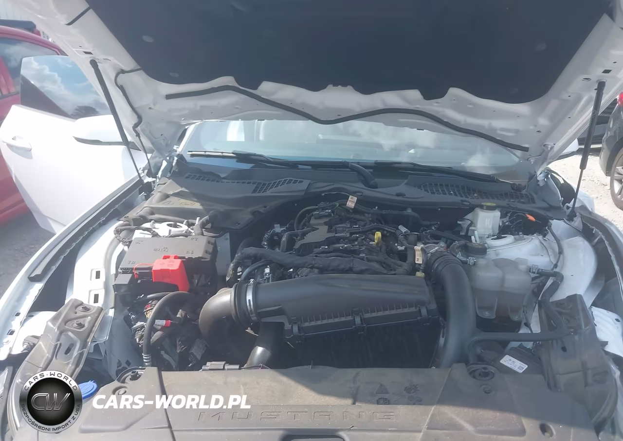 2024 Ford Mustang Ecoboost Premium Fastback VIN:1FA6P8TH8R5121855 - 10