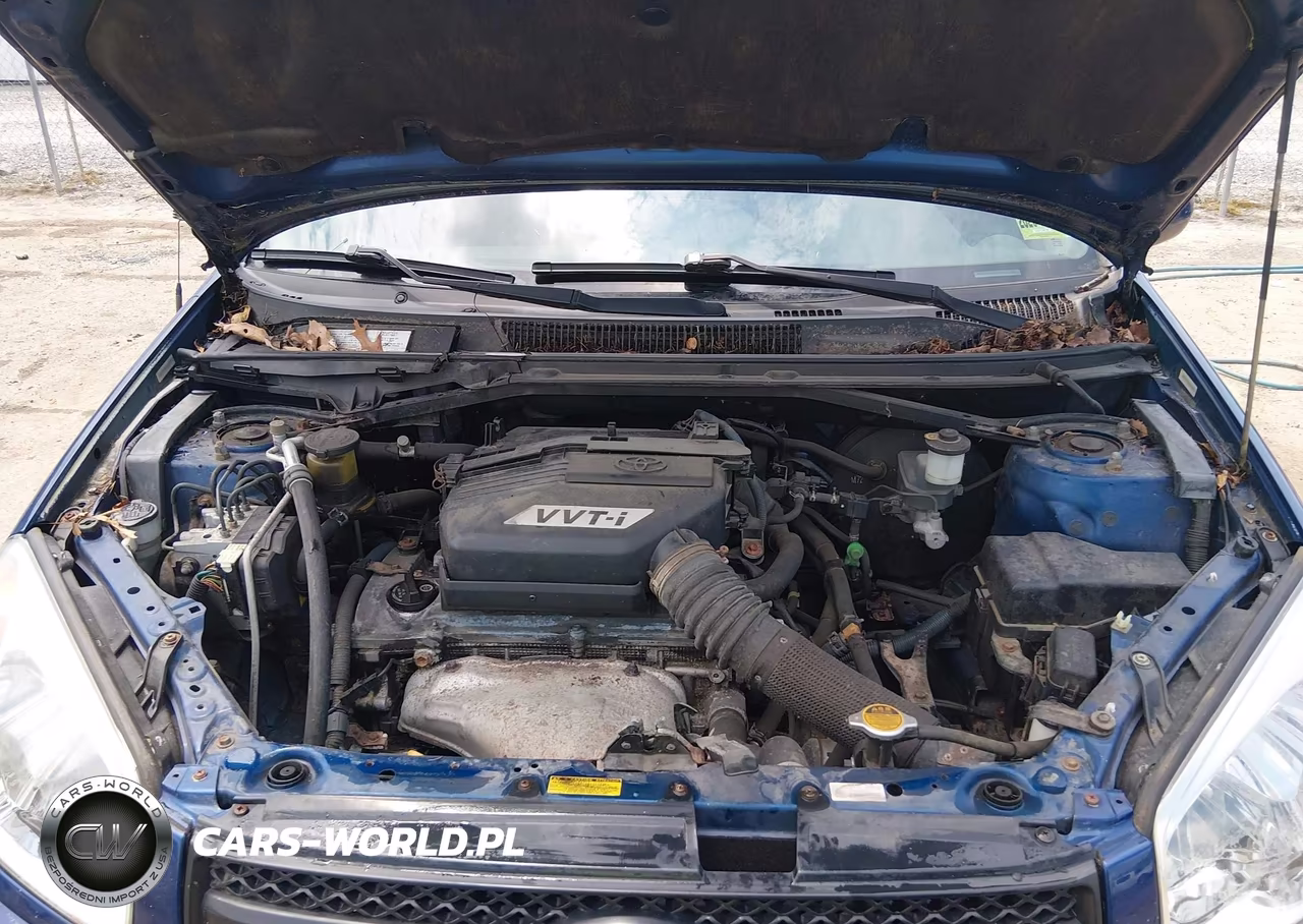 2004 Toyota Rav4 VIN:JTEHD20VX46012315 - 10