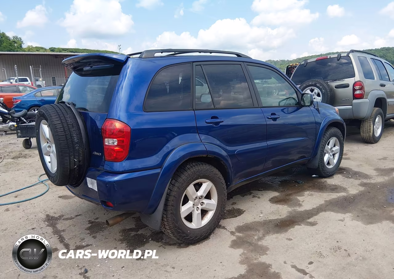 2004 Toyota Rav4 VIN:JTEHD20VX46012315 - 4