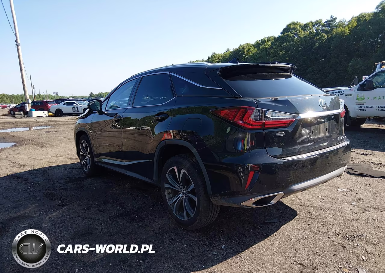 2019 Lexus Rx 350 VIN:JTJBZMCA7K2042017 - 3
