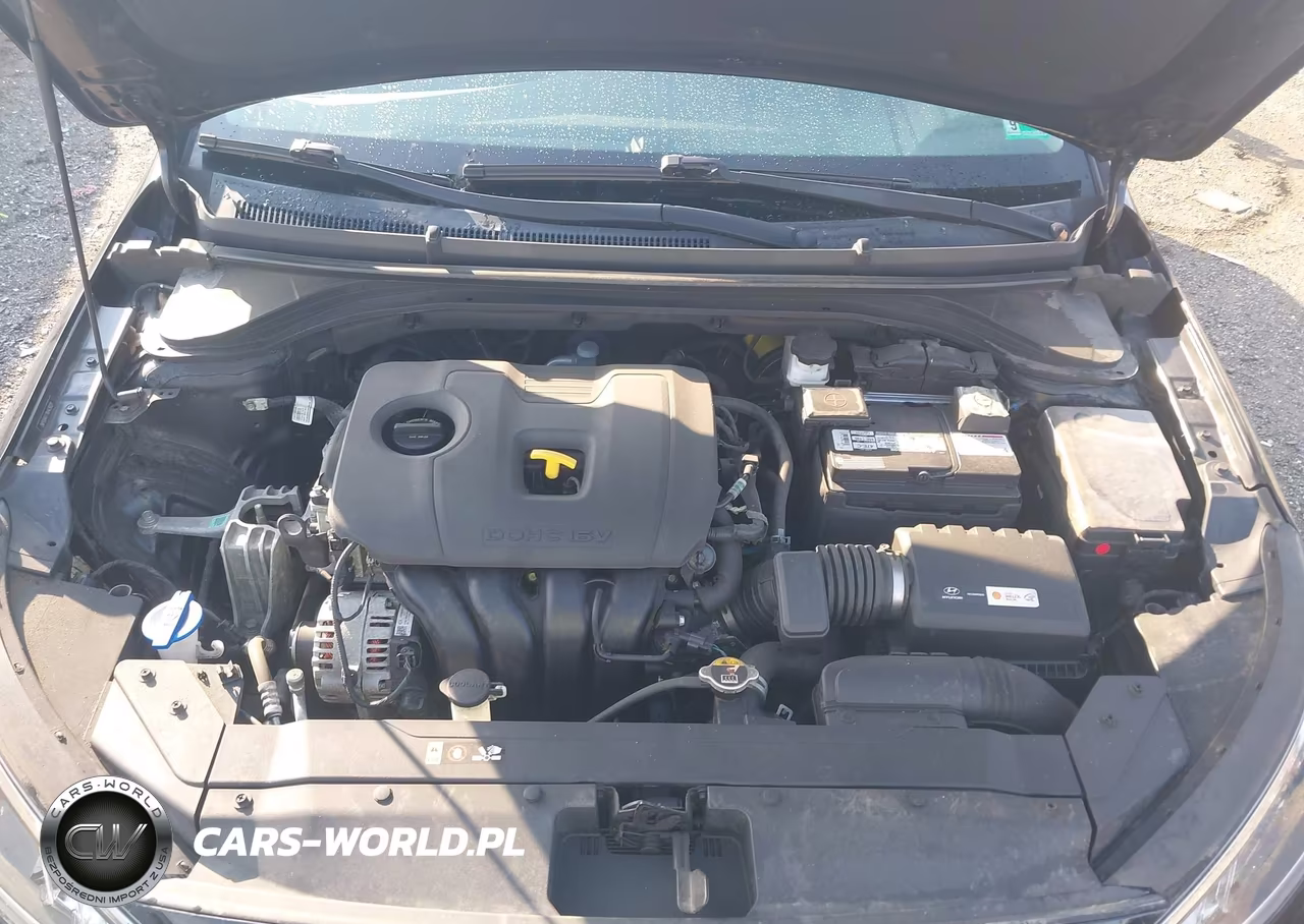 2019 Hyundai Elantra Sel VIN:5NPD84LF7KH439221 - 10
