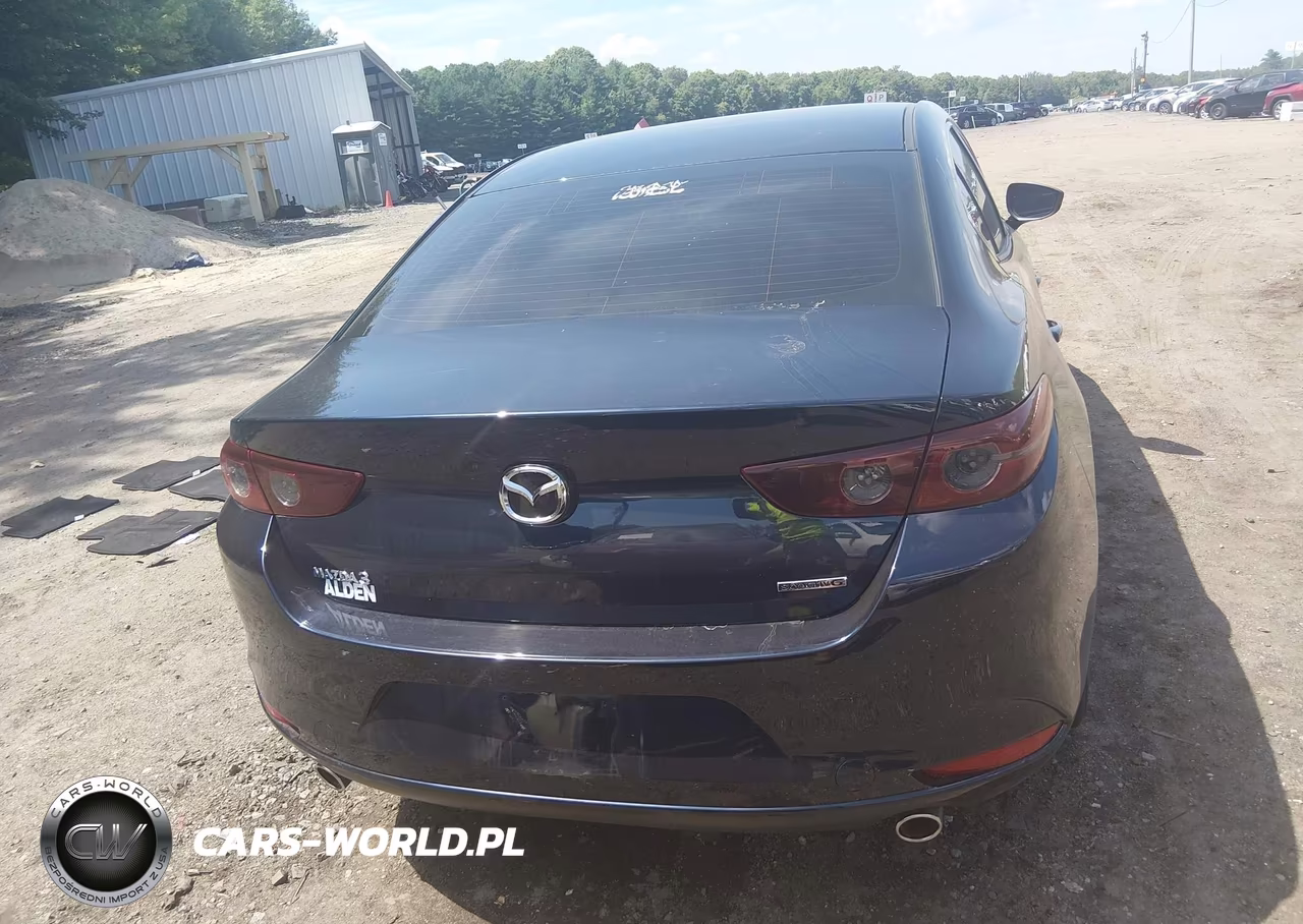 2020 Mazda Mazda3 VIN:3MZBPABL8LM132729 - 16