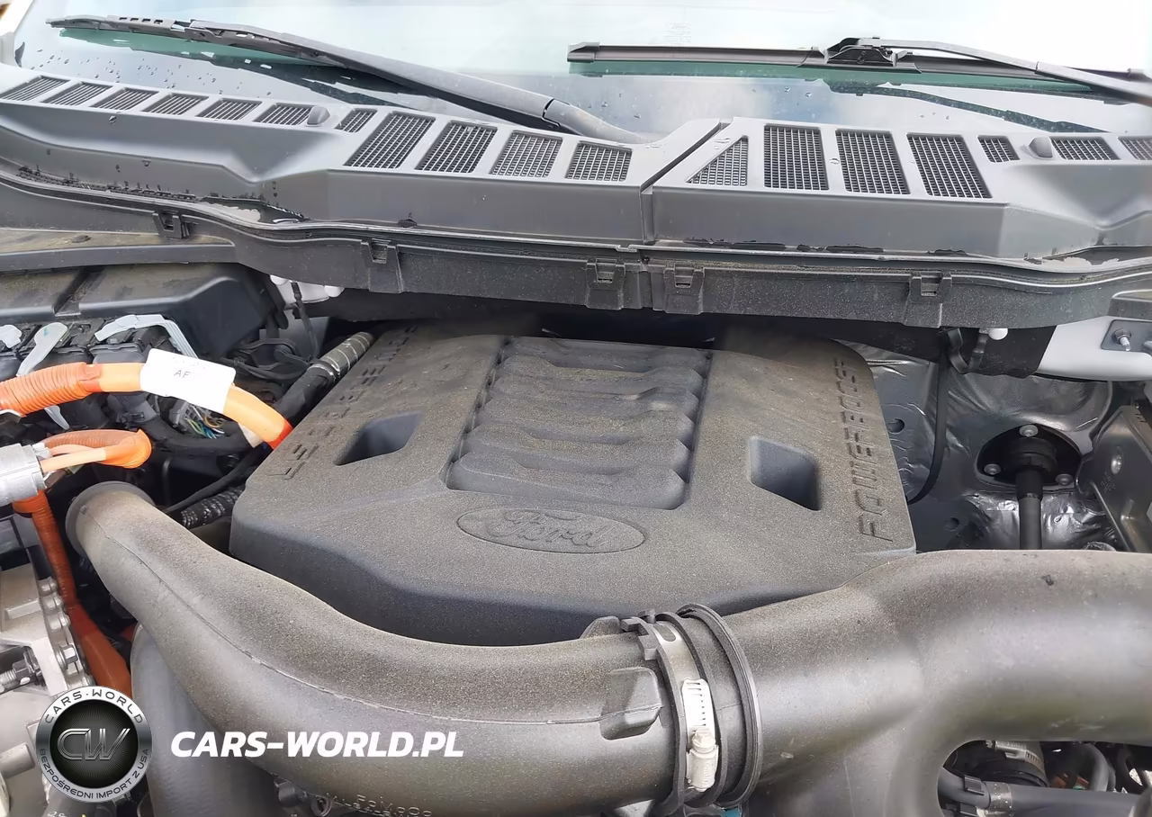 2023 Ford F-150 Xlt VIN:1FTFW1ED0PFC75661 - 10