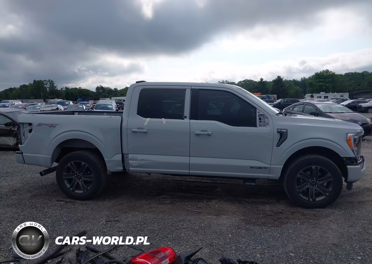 2023 Ford F-150 Xlt VIN:1FTFW1ED0PFC75661 - 13