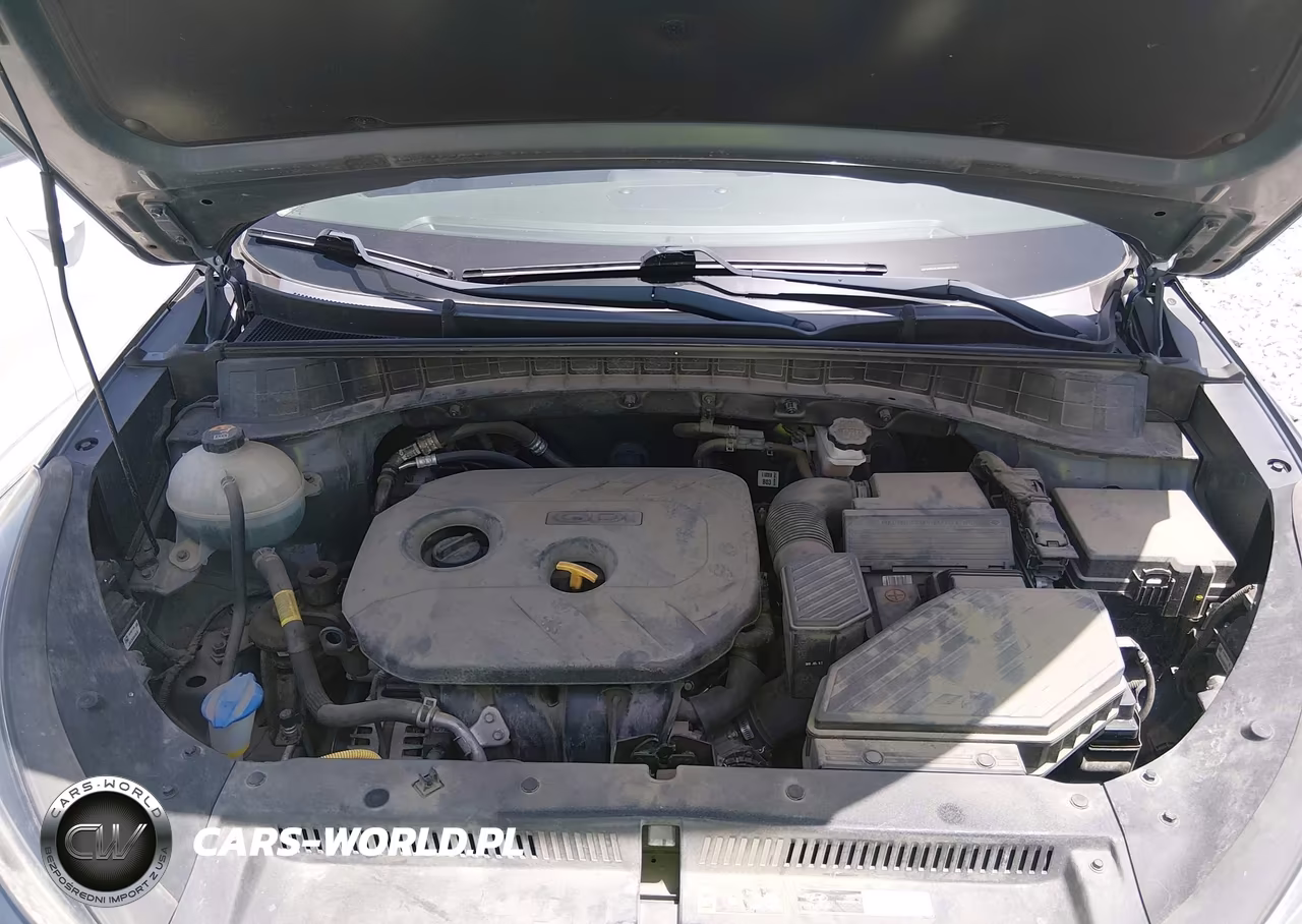 2019 Hyundai Tucson Se VIN:KM8J2CA47KU987382 - 10