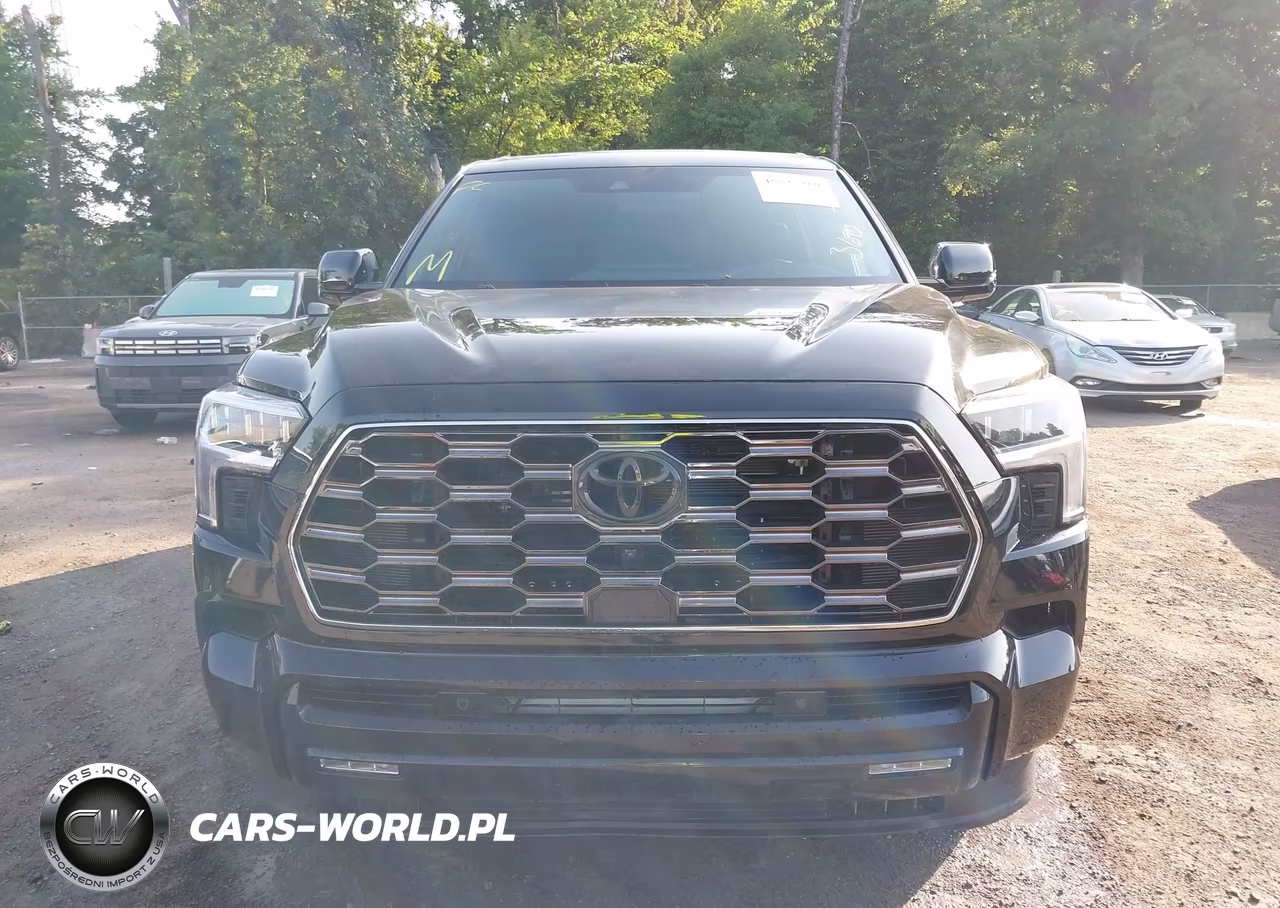 2025 Toyota Sequoia Platinum VIN:7SVAAABA6SX066078 - 12