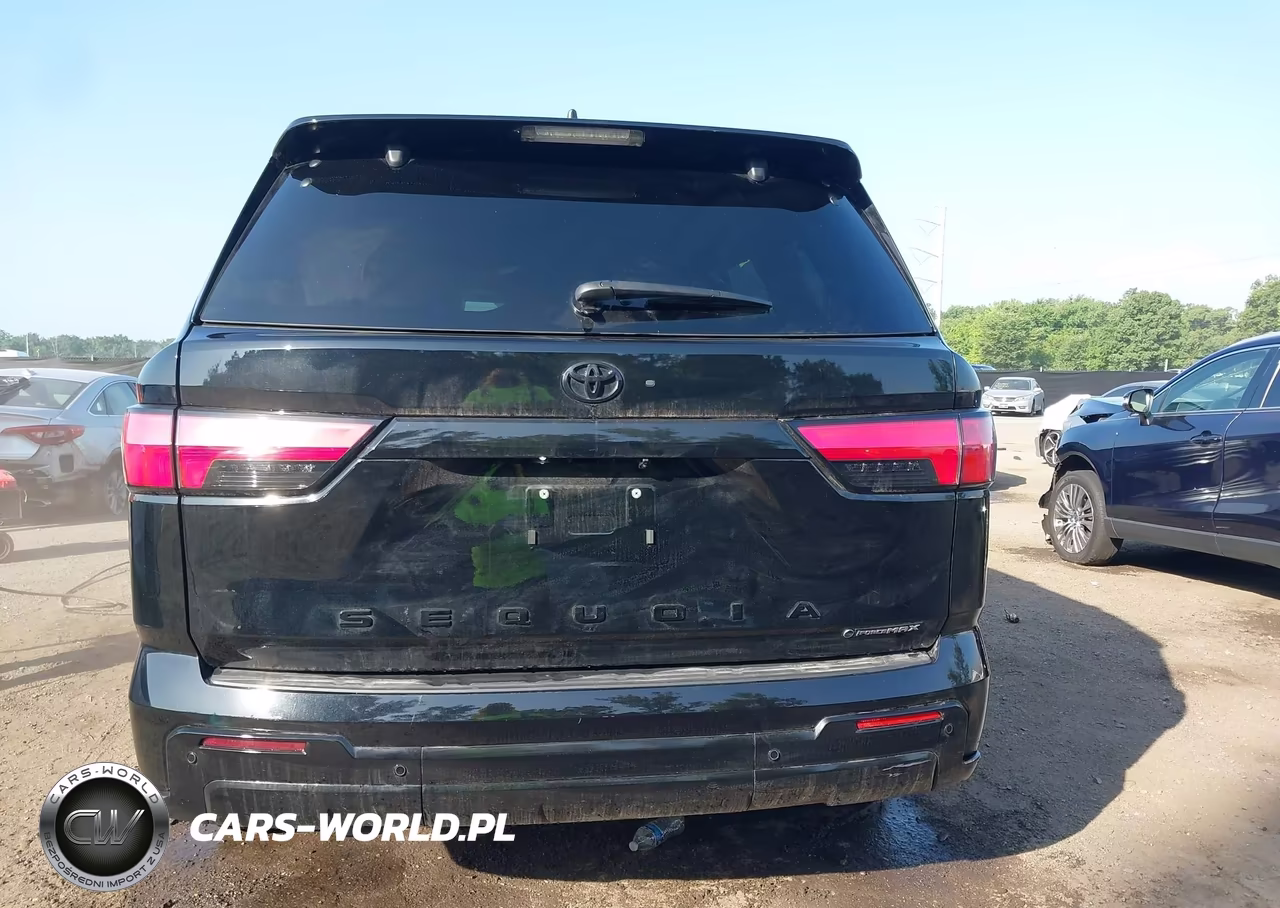 2025 Toyota Sequoia Platinum VIN:7SVAAABA6SX066078 - 16