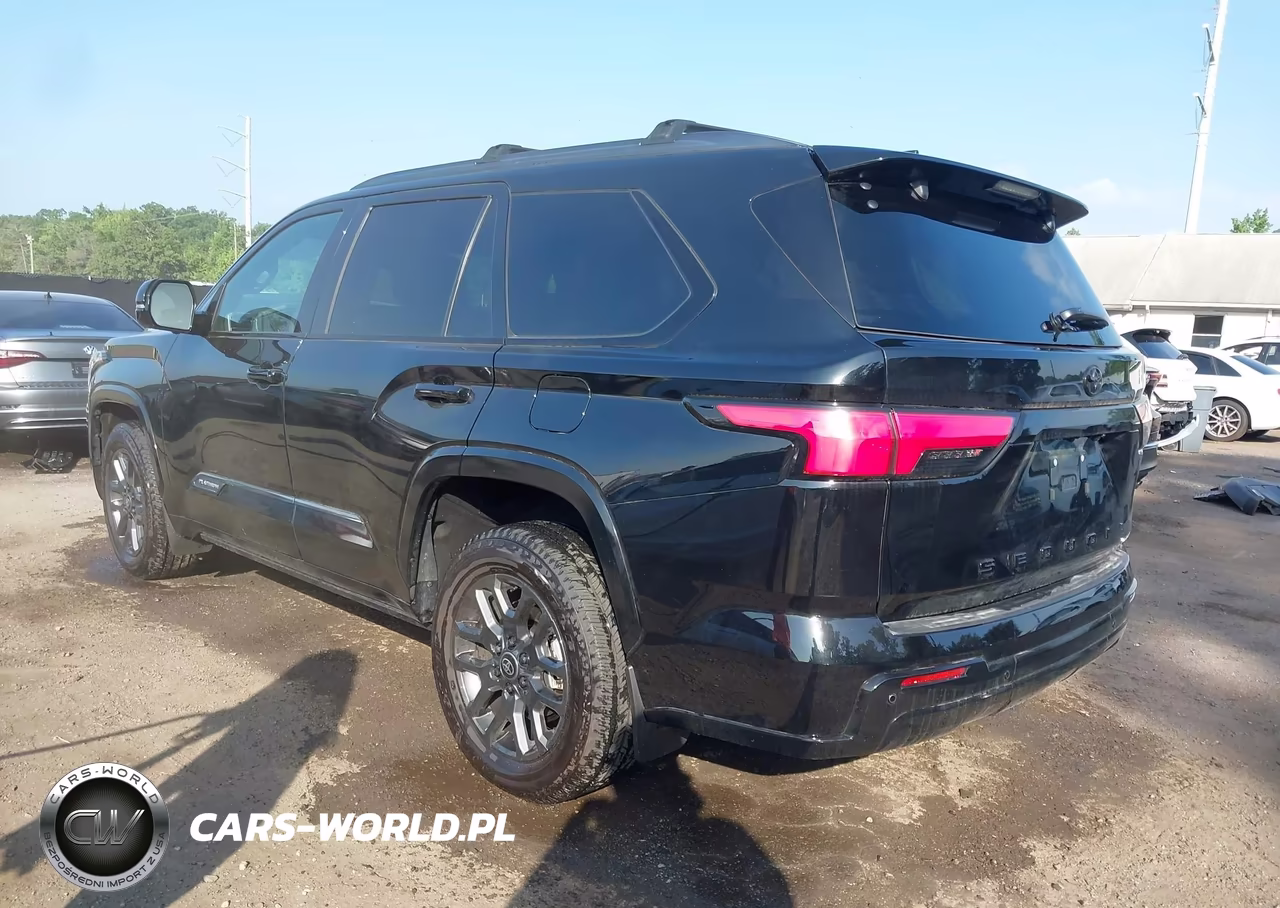 2025 Toyota Sequoia Platinum VIN:7SVAAABA6SX066078 - 3