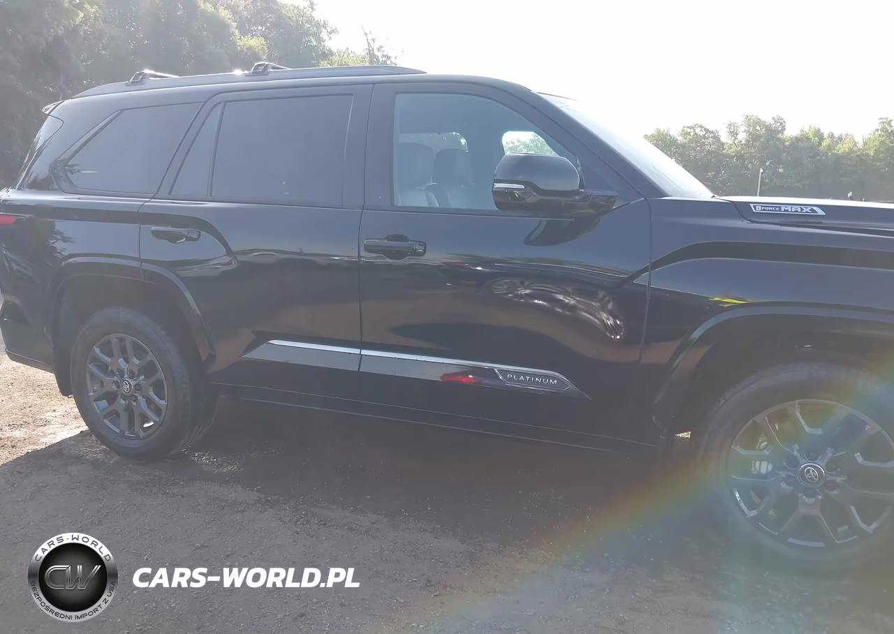 2025 Toyota Sequoia Platinum VIN:7SVAAABA6SX066078 - 6