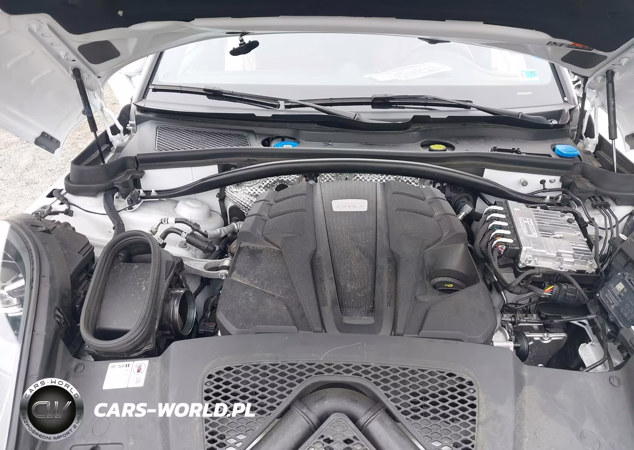 2024 Porsche Macan S VIN:WP1AG2A51RLB41238 - 10