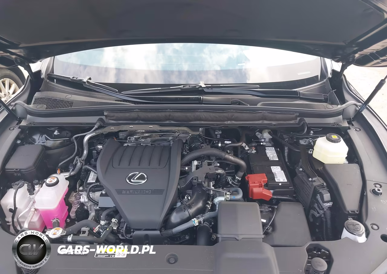 2026 Lexus Rx 350 Premium+ VIN:2T2BAMCA8TC136514 - 10
