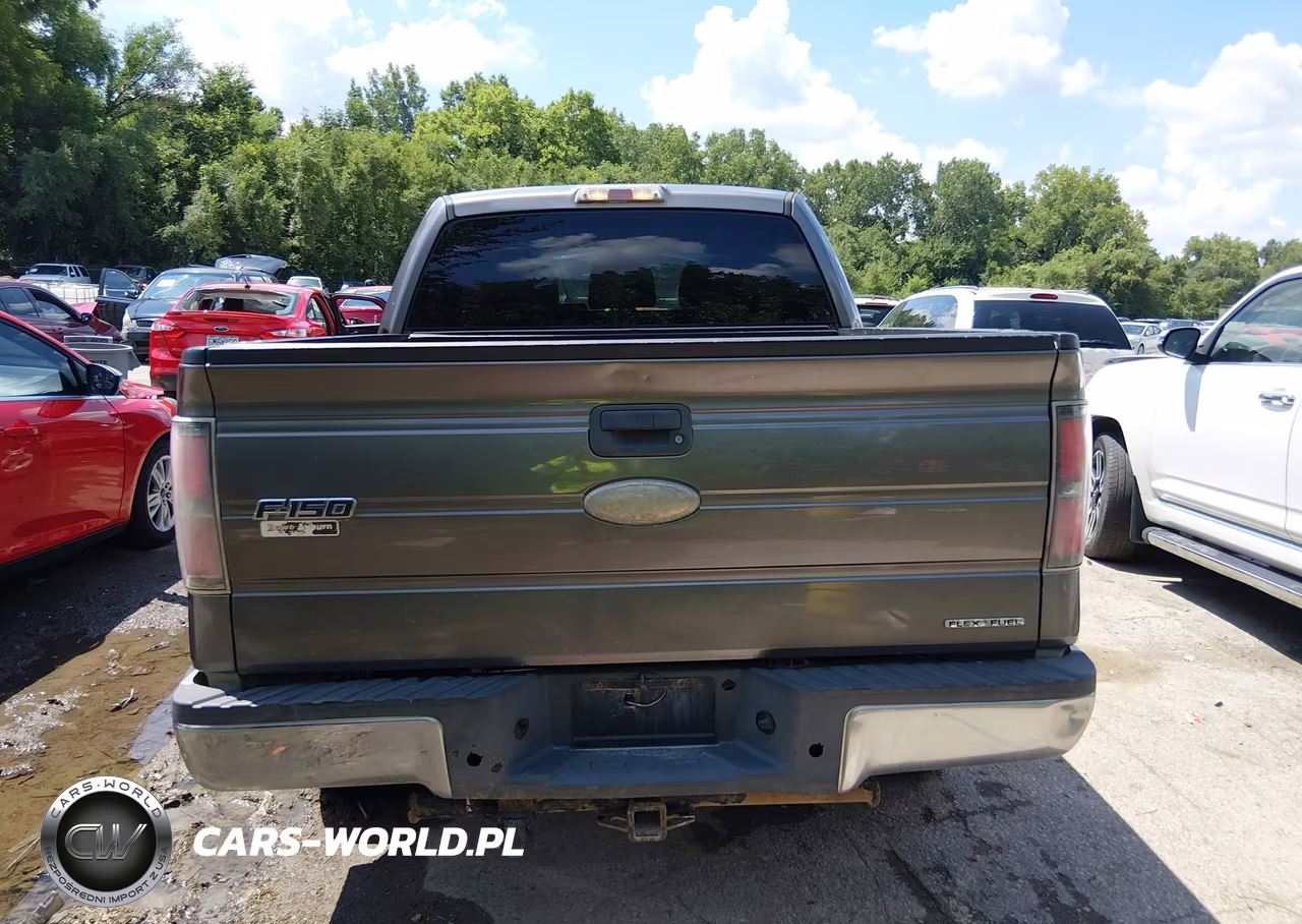 2011 Ford F-150 Fx4-King Ranch-Lariat-Platinum-Xl-Xlt VIN:1FTFW1EF2BFB19843 - 17