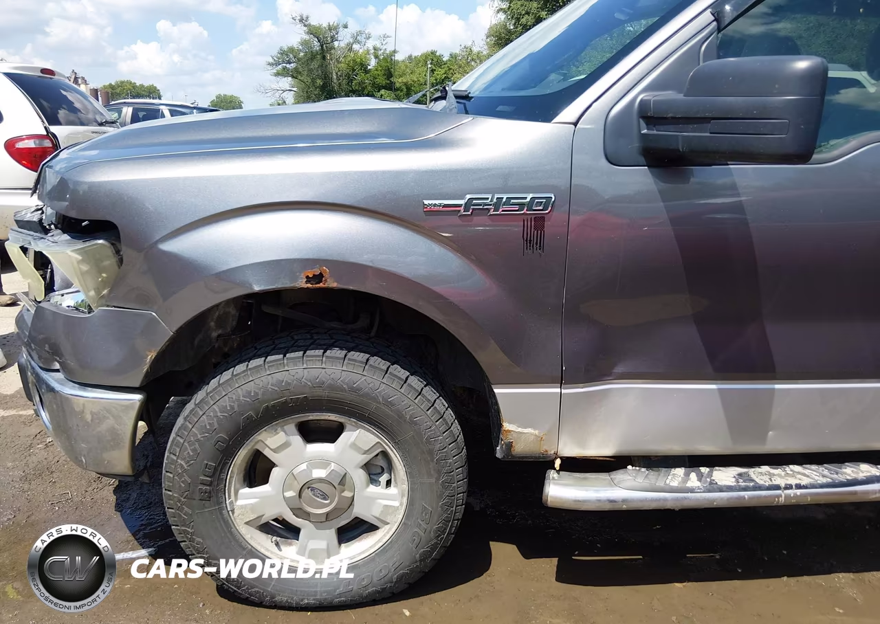 2011 Ford F-150 Fx4-King Ranch-Lariat-Platinum-Xl-Xlt VIN:1FTFW1EF2BFB19843 - 19