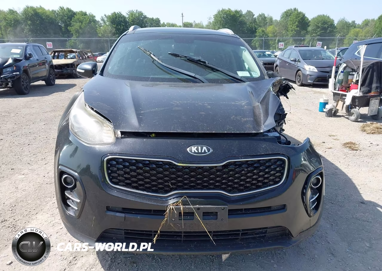 2017 Kia Sportage Ex VIN:KNDPN3AC0H7268964 - 12