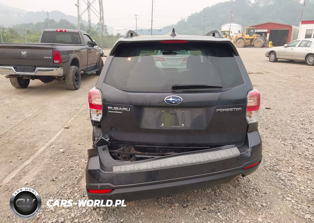 2018 Subaru Forester 2.5I Limited VIN:JF2SJAJC0JH561503 - 16