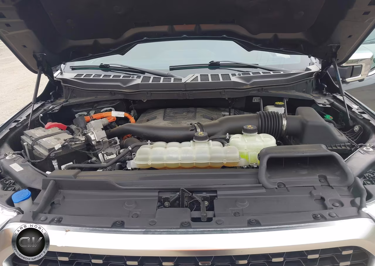 2021 Ford F-150 Platinum VIN:1FTFW1ED4MFB24219 - 10
