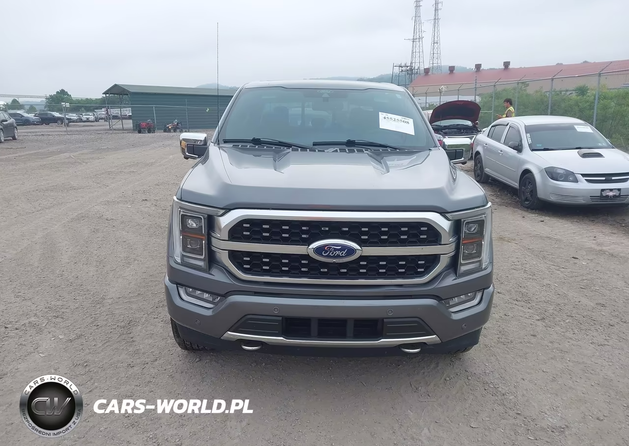 2021 Ford F-150 Platinum VIN:1FTFW1ED4MFB24219 - 12