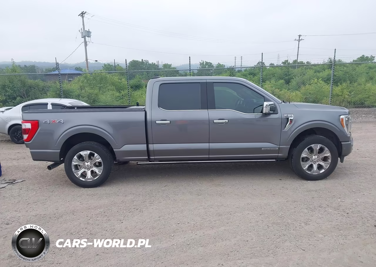 2021 Ford F-150 Platinum VIN:1FTFW1ED4MFB24219 - 13