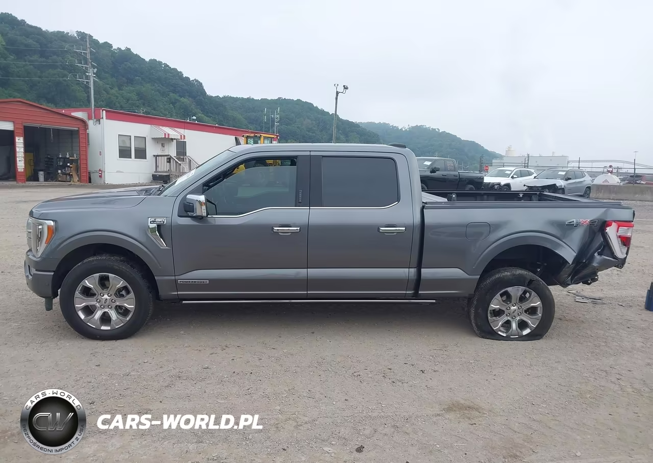 2021 Ford F-150 Platinum VIN:1FTFW1ED4MFB24219 - 14