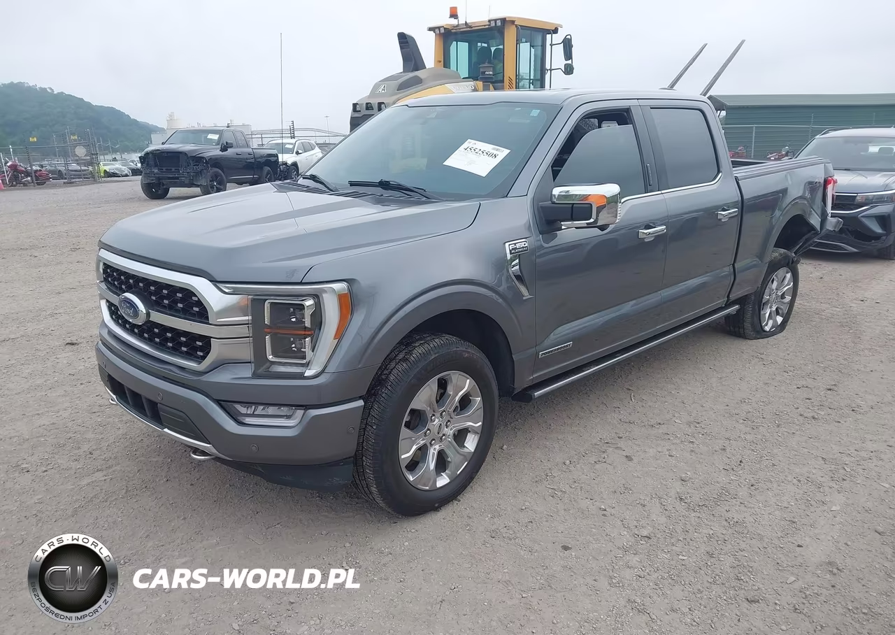 2021 Ford F-150 Platinum VIN:1FTFW1ED4MFB24219 - 2