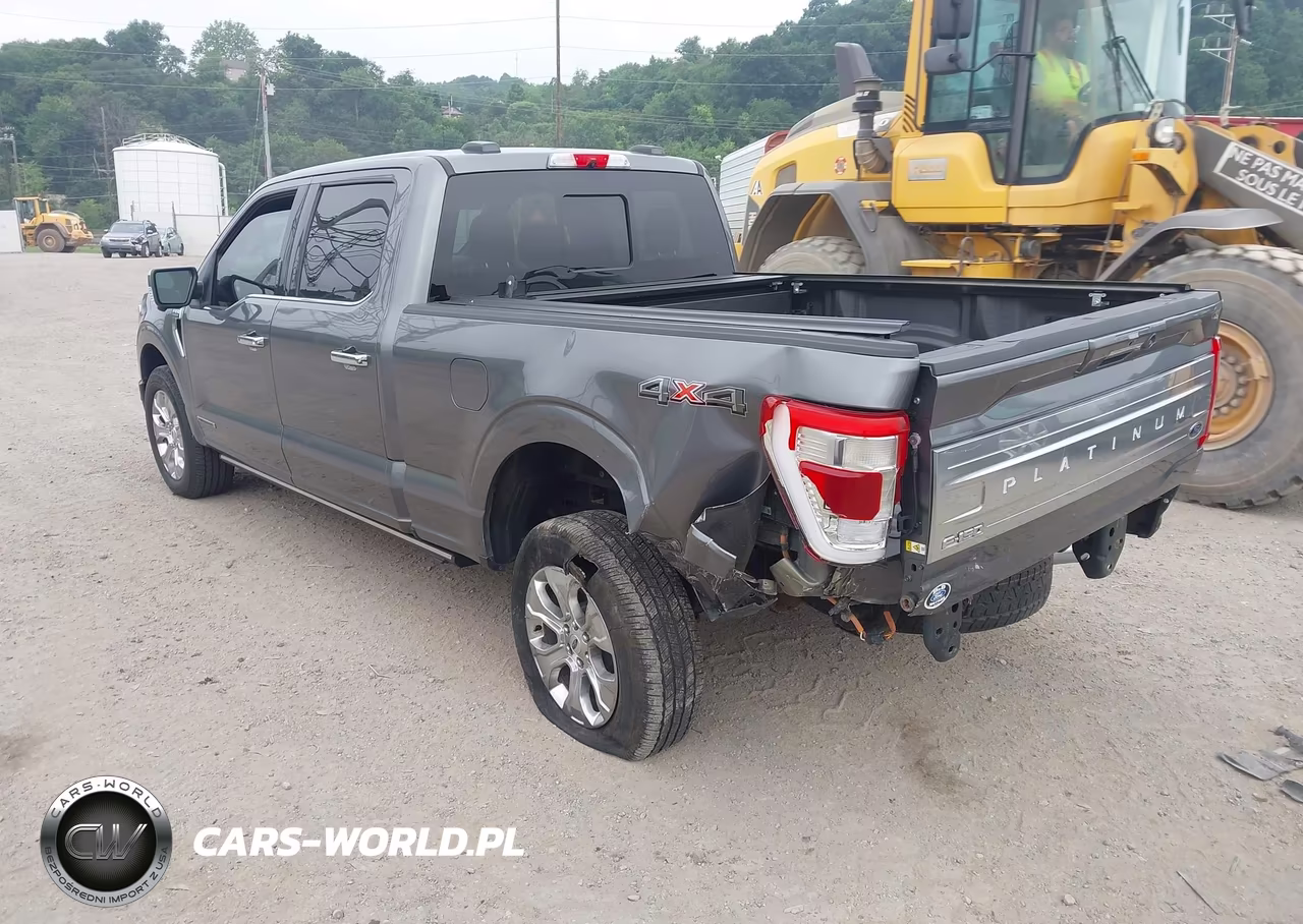 2021 Ford F-150 Platinum VIN:1FTFW1ED4MFB24219 - 3