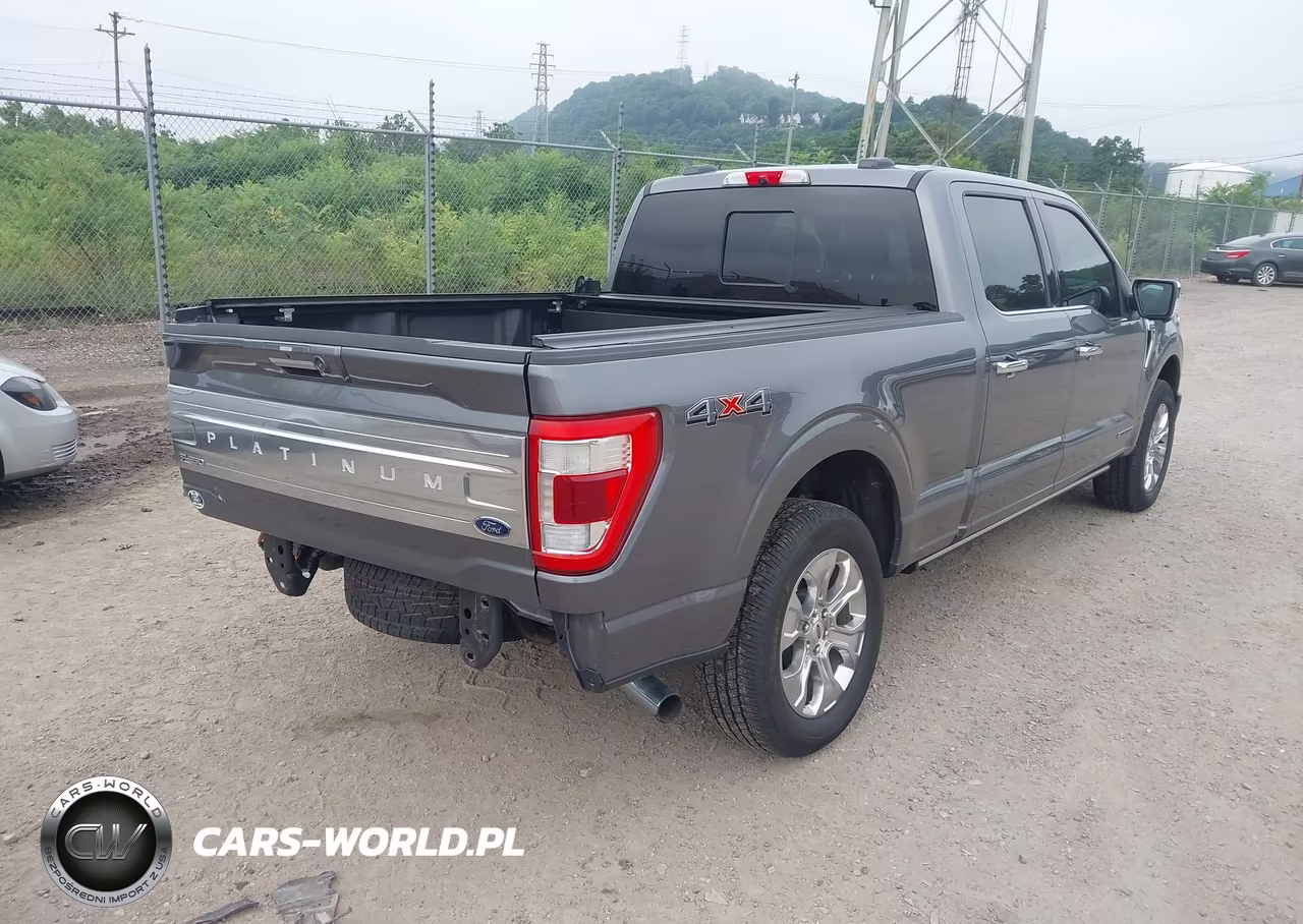 2021 Ford F-150 Platinum VIN:1FTFW1ED4MFB24219 - 4