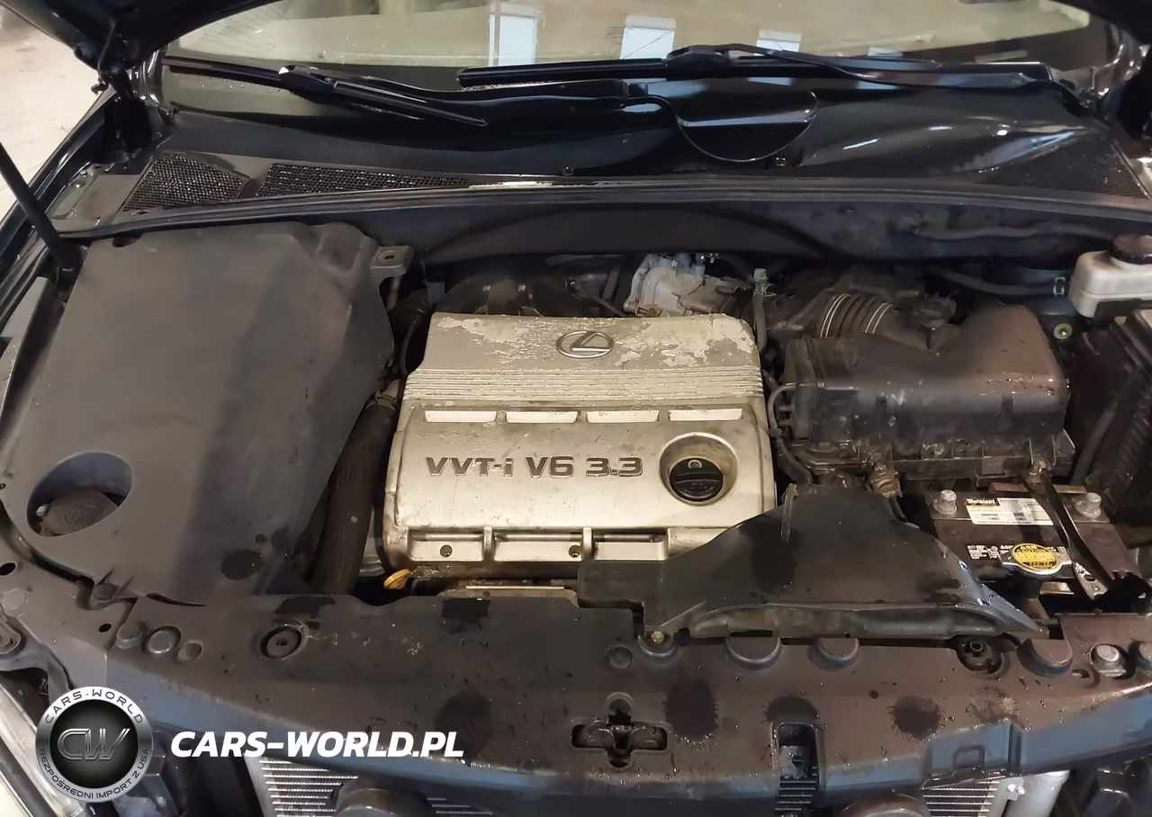 2005 Lexus Rx 330 VIN:2T2GA31U25C041026 - 10