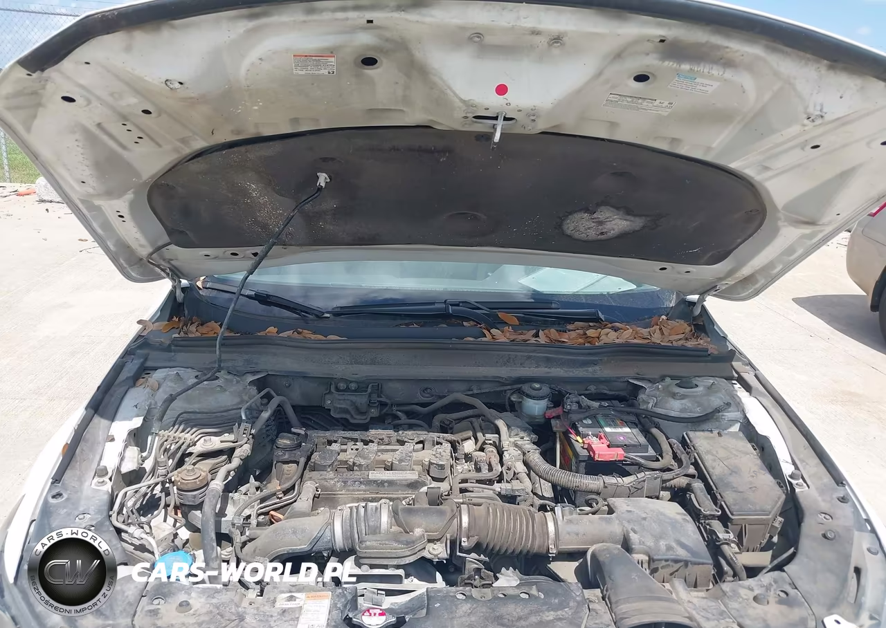 2019 Honda Accord Lx VIN:1HGCV1F17KA107257 - 10