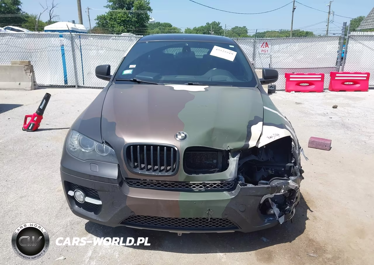 2014 BMW X6 xDrive50I VIN:5UXFG8C51EL592461 - 12