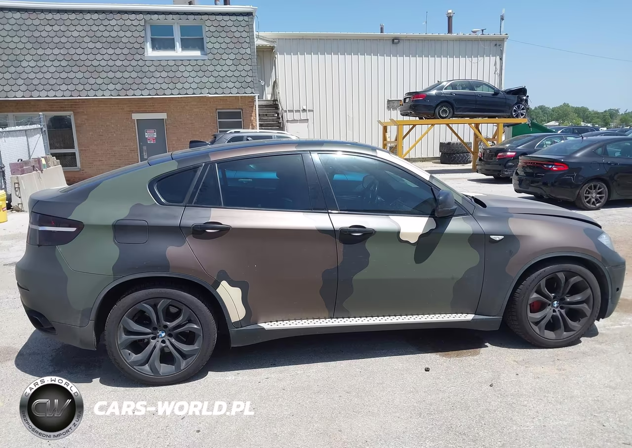 2014 BMW X6 xDrive50I VIN:5UXFG8C51EL592461 - 13