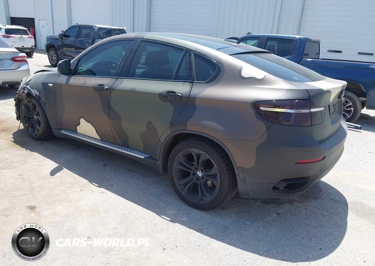 2014 BMW X6 xDrive50I VIN:5UXFG8C51EL592461 - 3