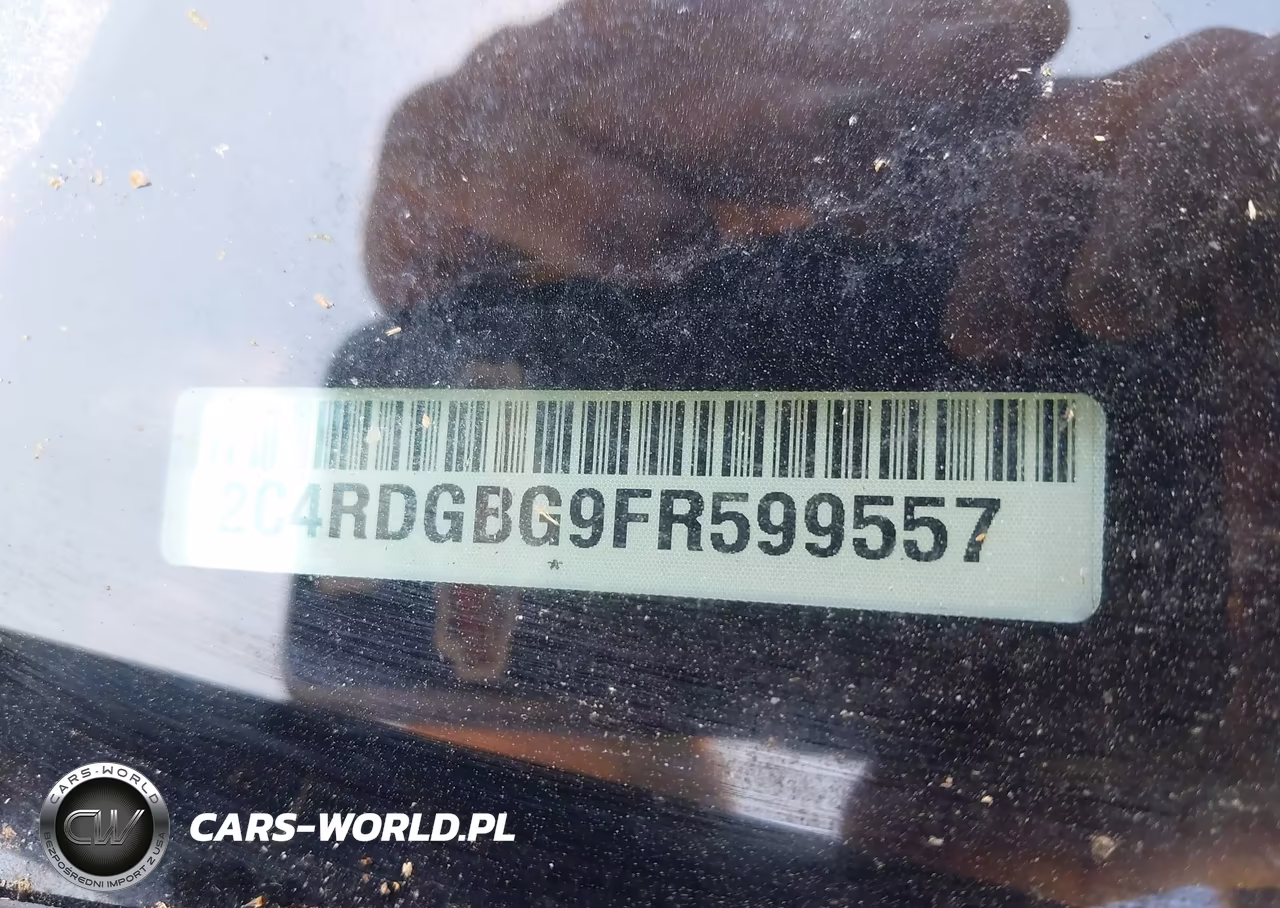2015 Dodge Grand Caravan Se VIN:2C4RDGBG9FR599557 - 9