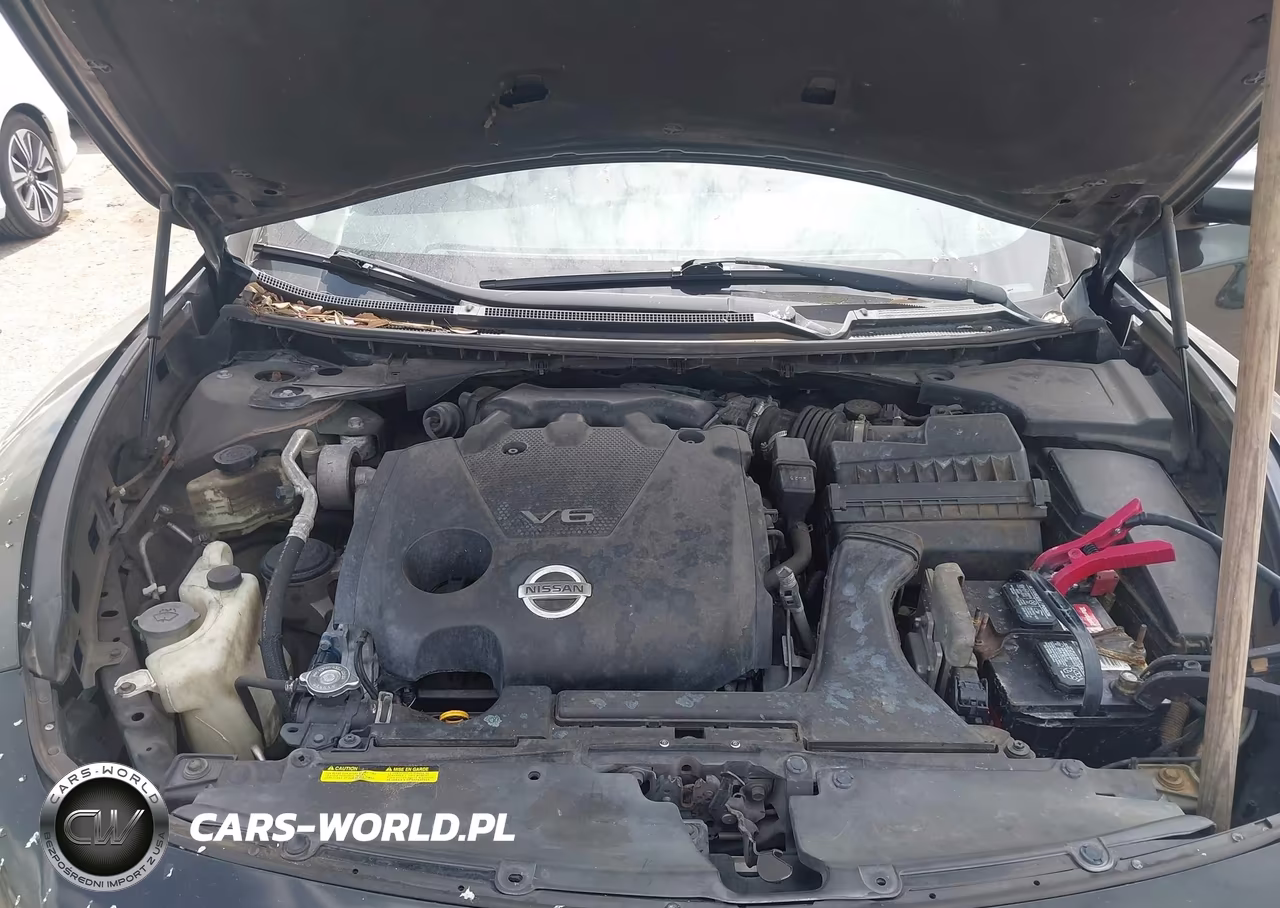 2013 Nissan Maxima 3.5 S VIN:1N4AA5AP9DC809033 - 10