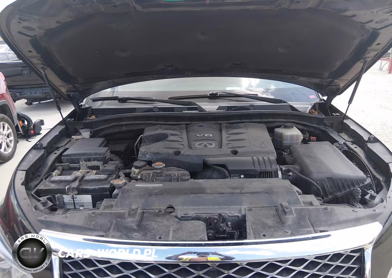 2016 Infiniti Qx80 VIN:JN8AZ2NF8G9611469 - 10