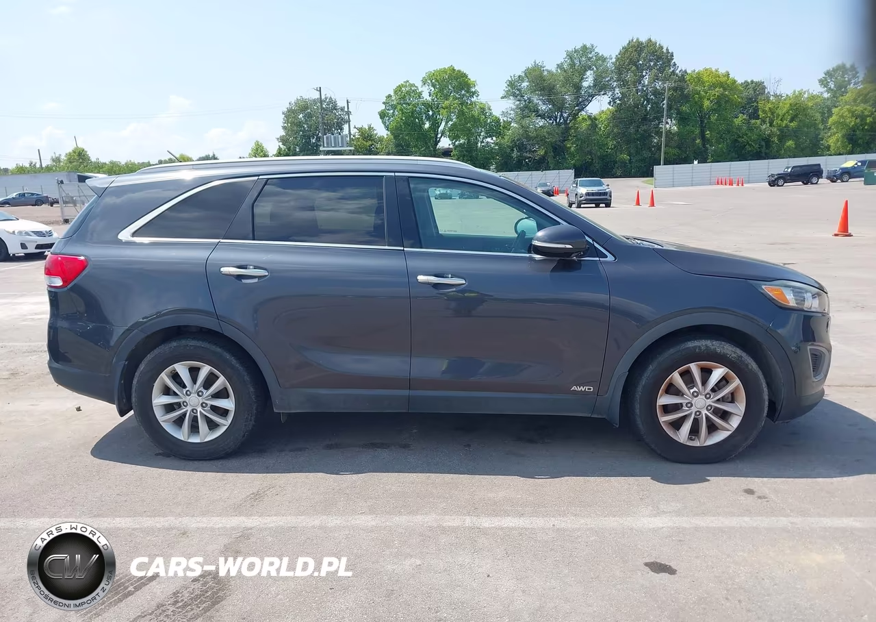 2017 Kia Sorento 2.4L Lx VIN:5XYPGDA31HG275604 - 13