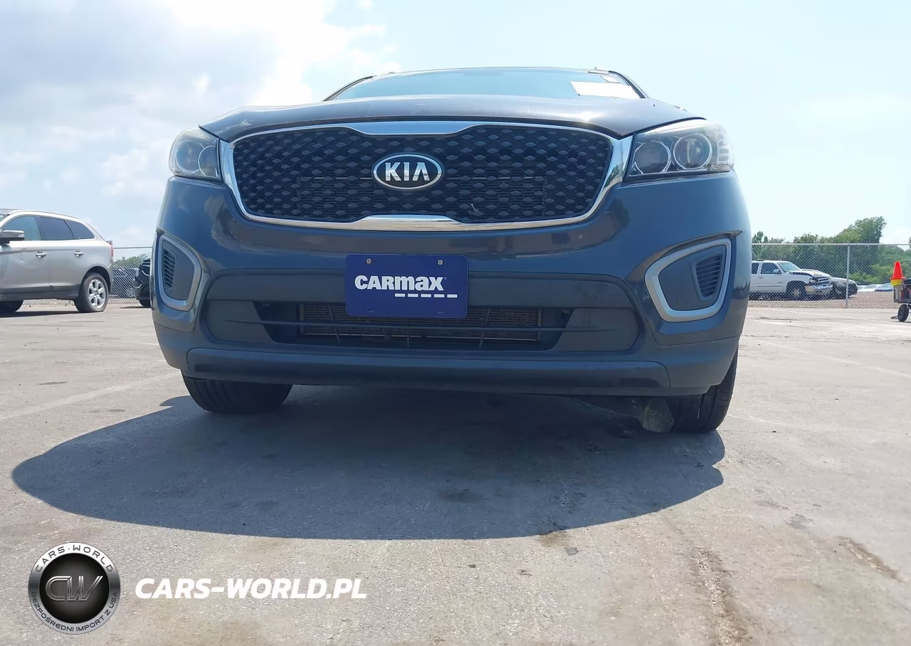 2017 Kia Sorento 2.4L Lx VIN:5XYPGDA31HG275604 - 17