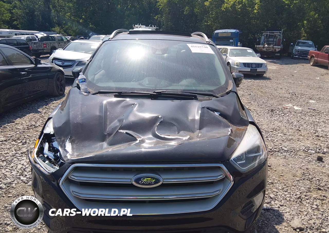 2019 Ford Escape Titanium VIN:1FMCU9J97KUB47149 - 12