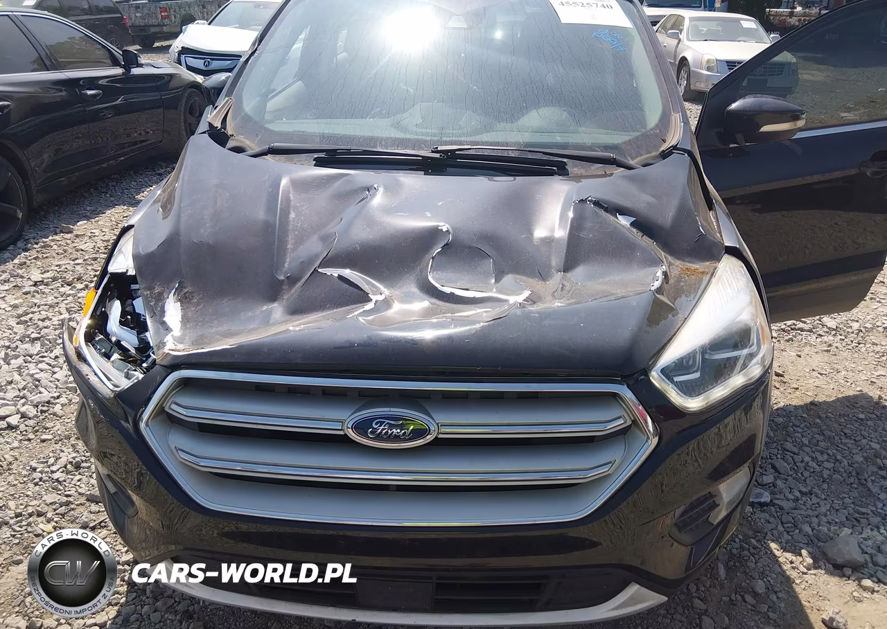 2019 Ford Escape Titanium VIN:1FMCU9J97KUB47149 - 6