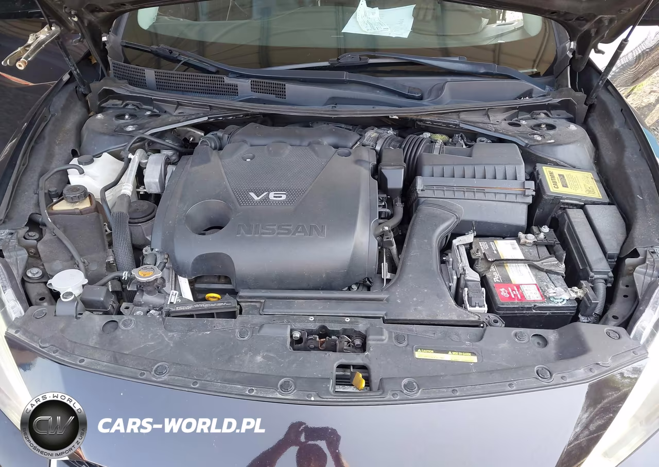 2016 Nissan Maxima 3.5 Platinum VIN:1N4AA6AP2GC425332 - 10