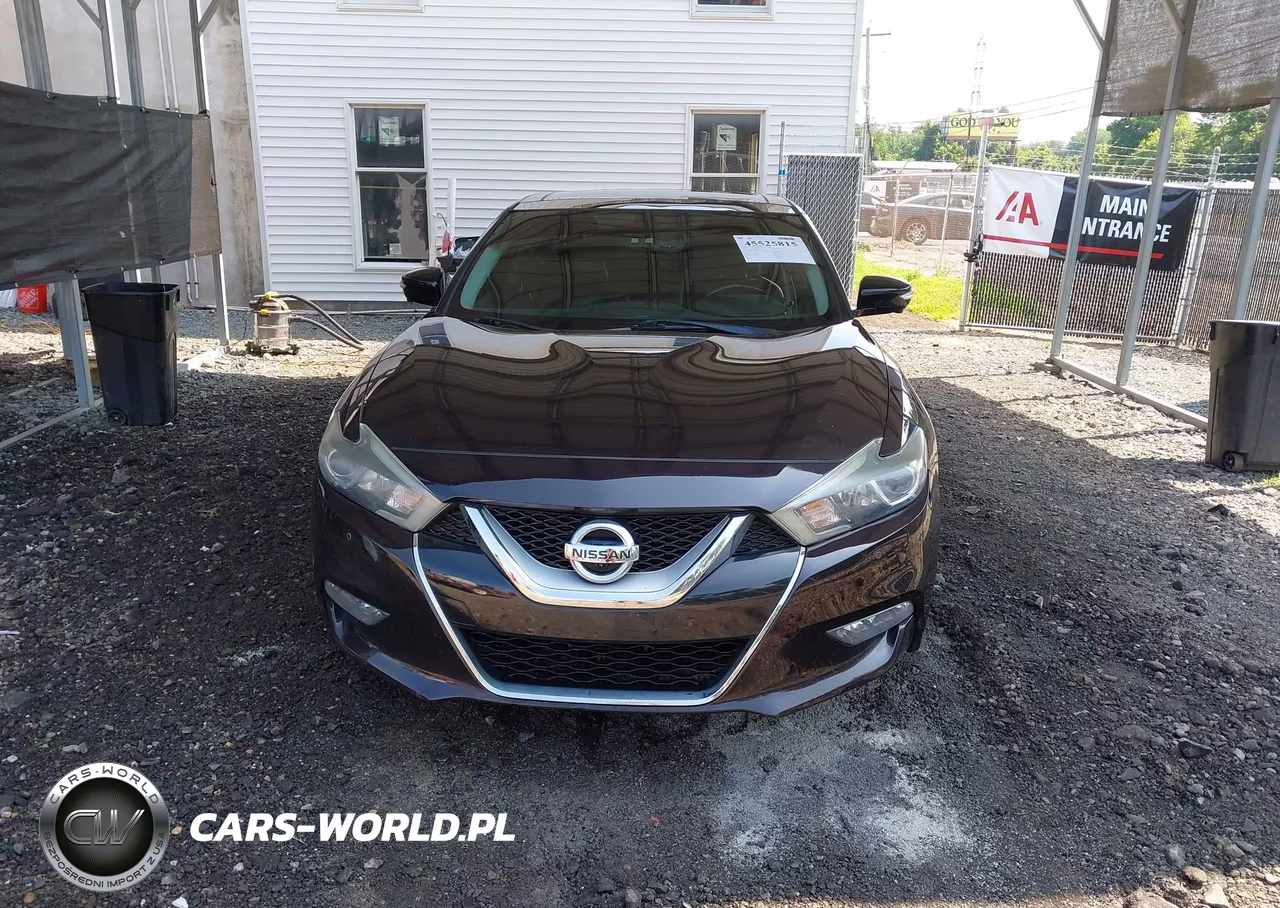 2016 Nissan Maxima 3.5 Platinum VIN:1N4AA6AP2GC425332 - 12