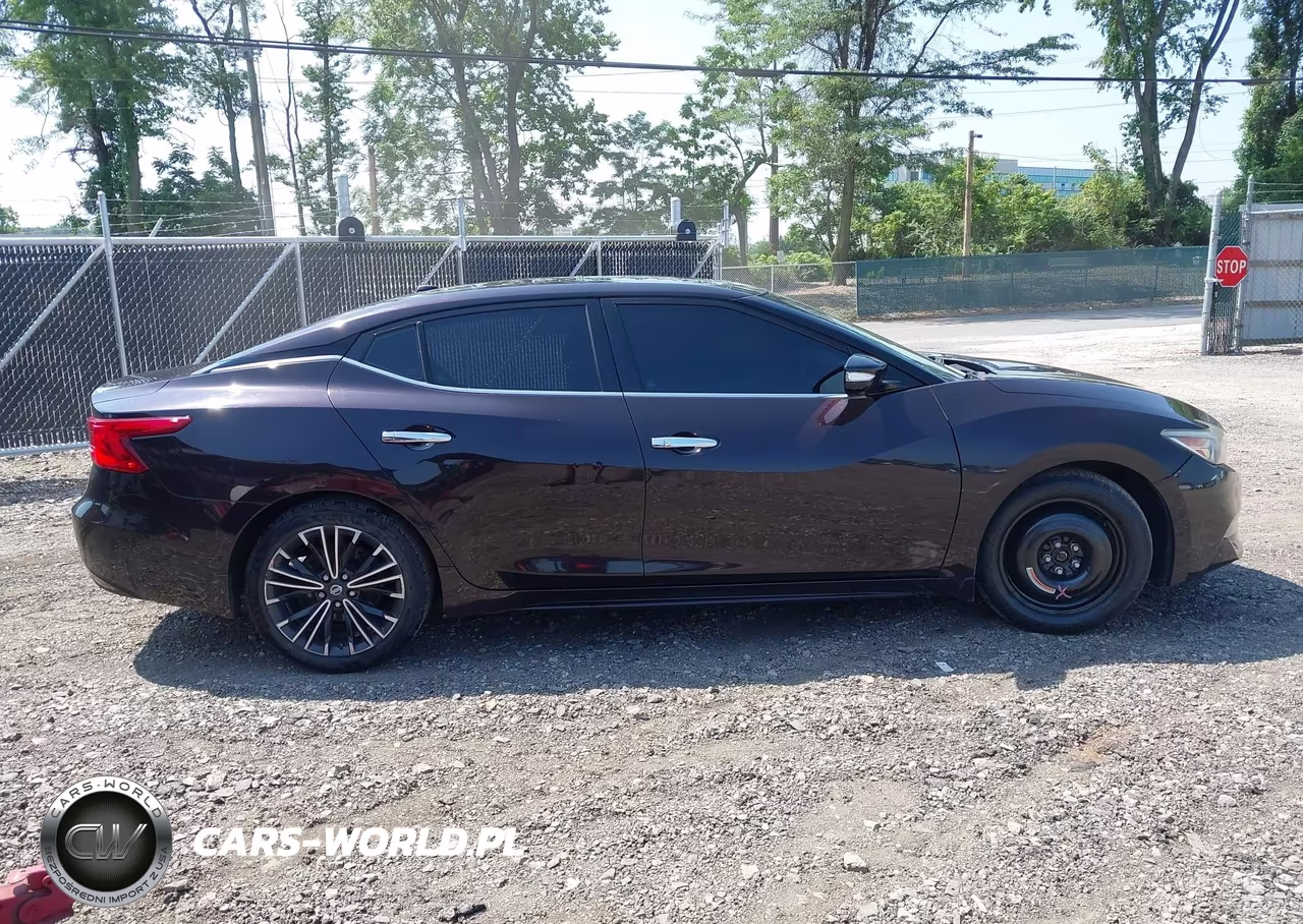 2016 Nissan Maxima 3.5 Platinum VIN:1N4AA6AP2GC425332 - 13