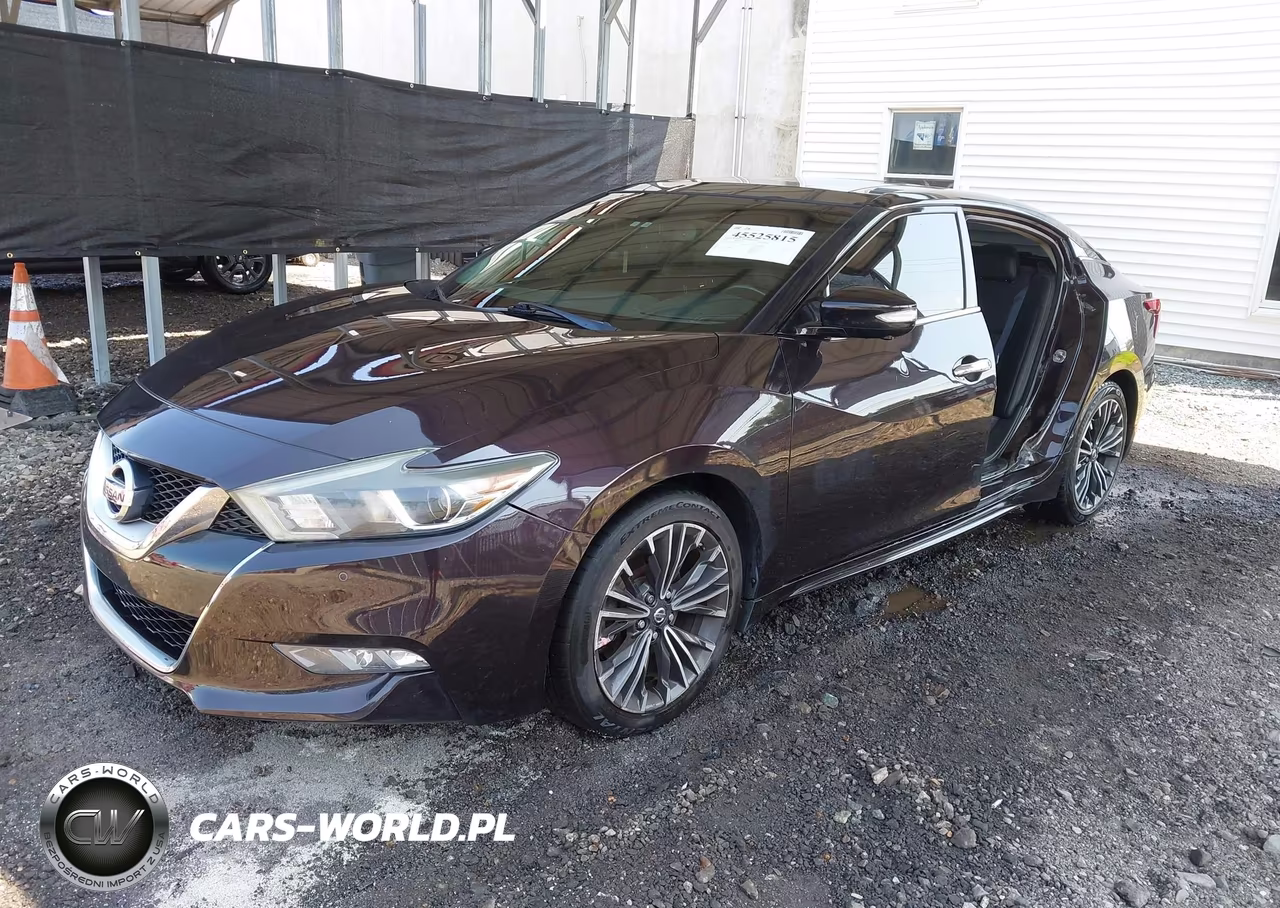 2016 Nissan Maxima 3.5 Platinum VIN:1N4AA6AP2GC425332 - 2